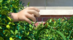 لاروا (فصل 1 - قسمت 73)